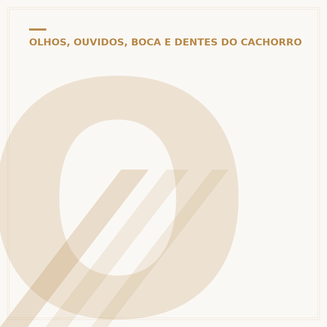 Olho do cachorro remelando: causas e o que fazer
