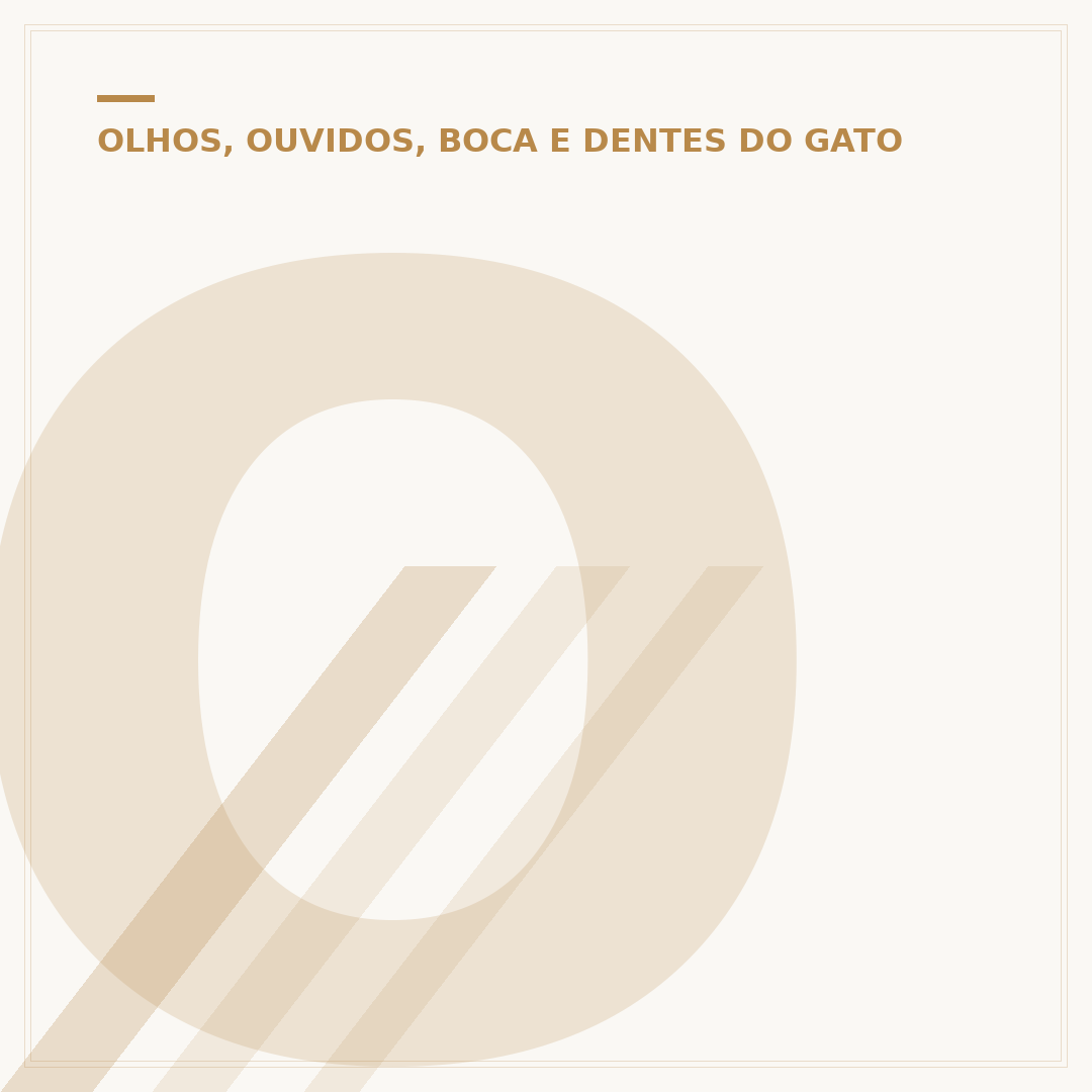 Olho do gato ficando branco: causas, sintomas e tratamentos