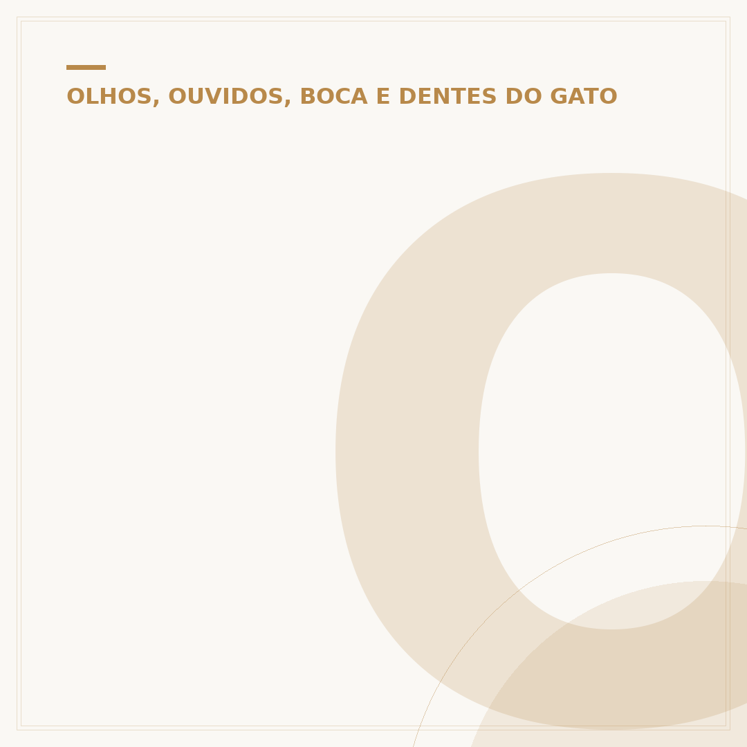 Olho do gato esbranquiçado: causas, tratamentos e cuidados