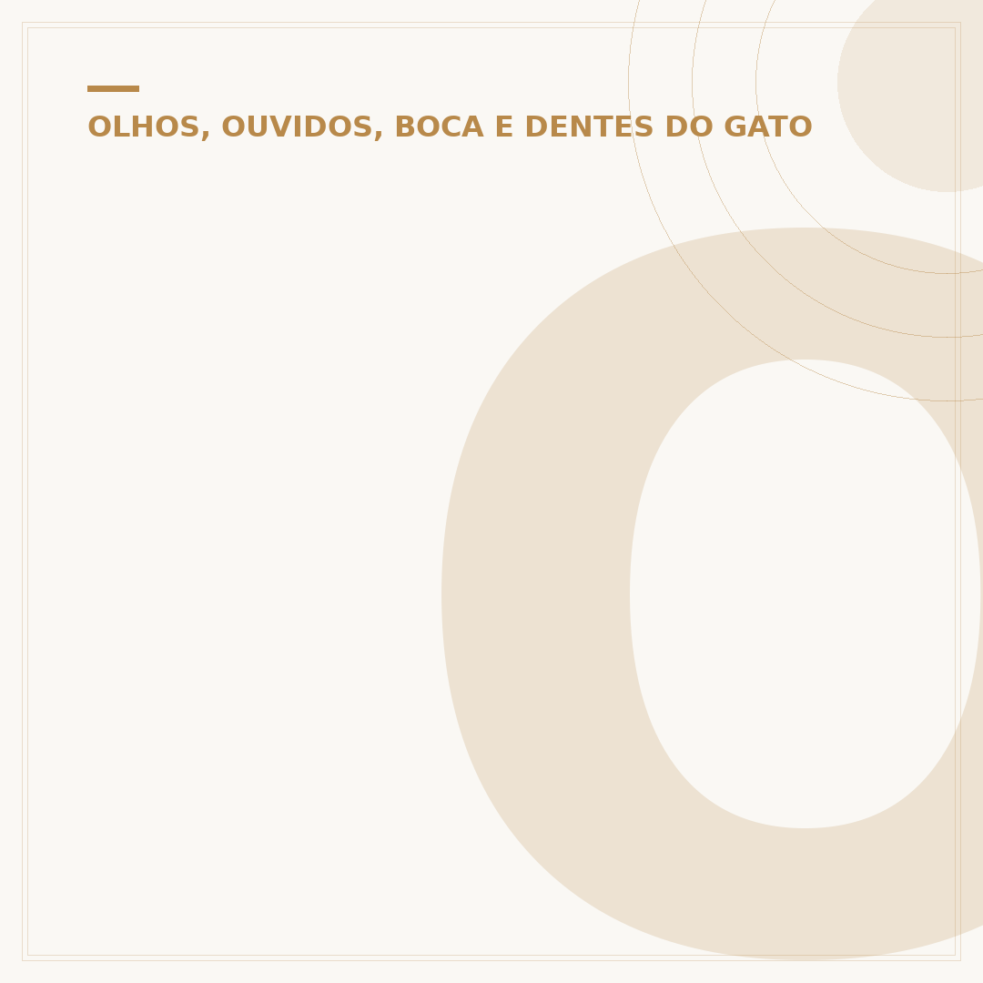 Olho do gato lacrimejando e fechando: causas e cuidados