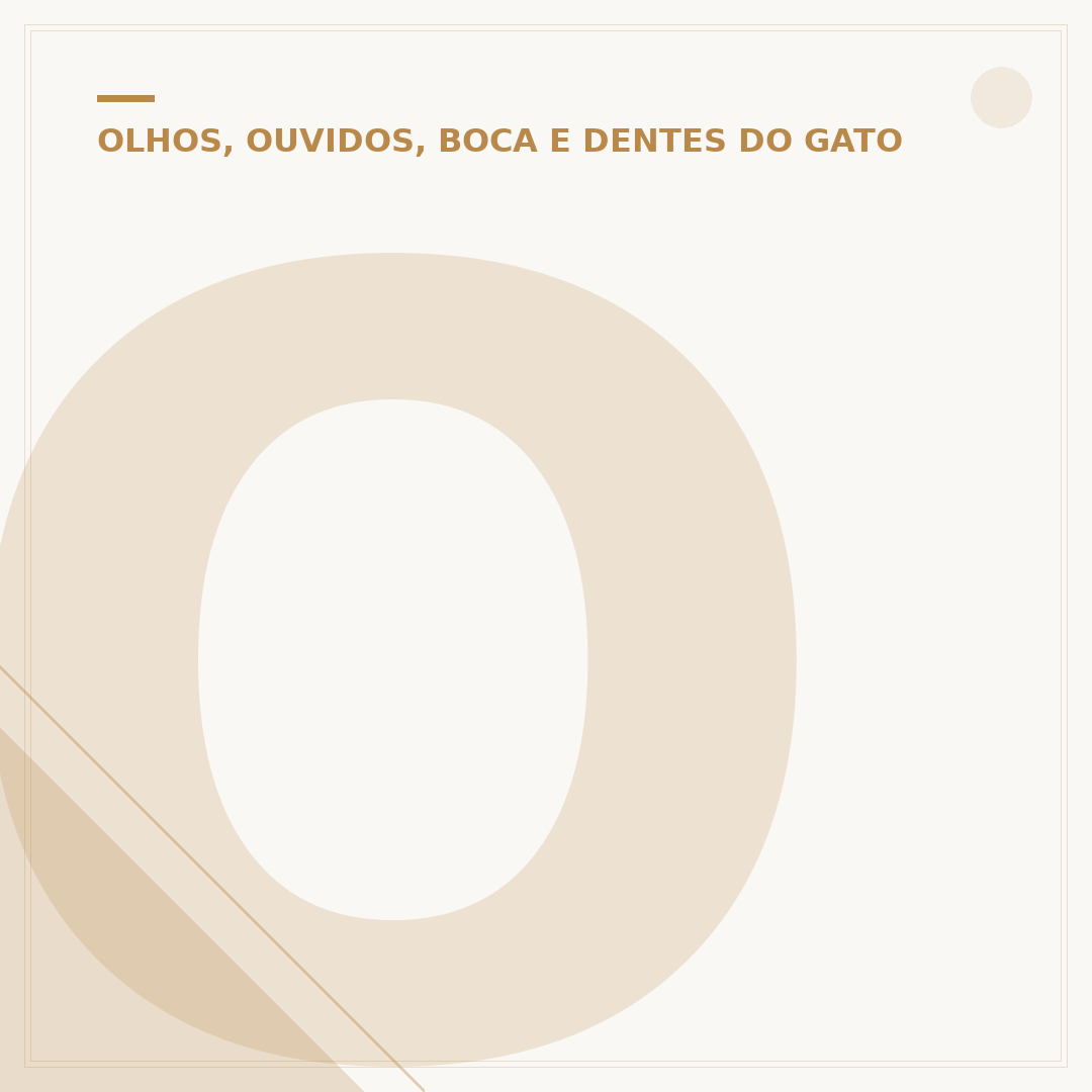 Olhos de gato são do Studio Ghibli?
