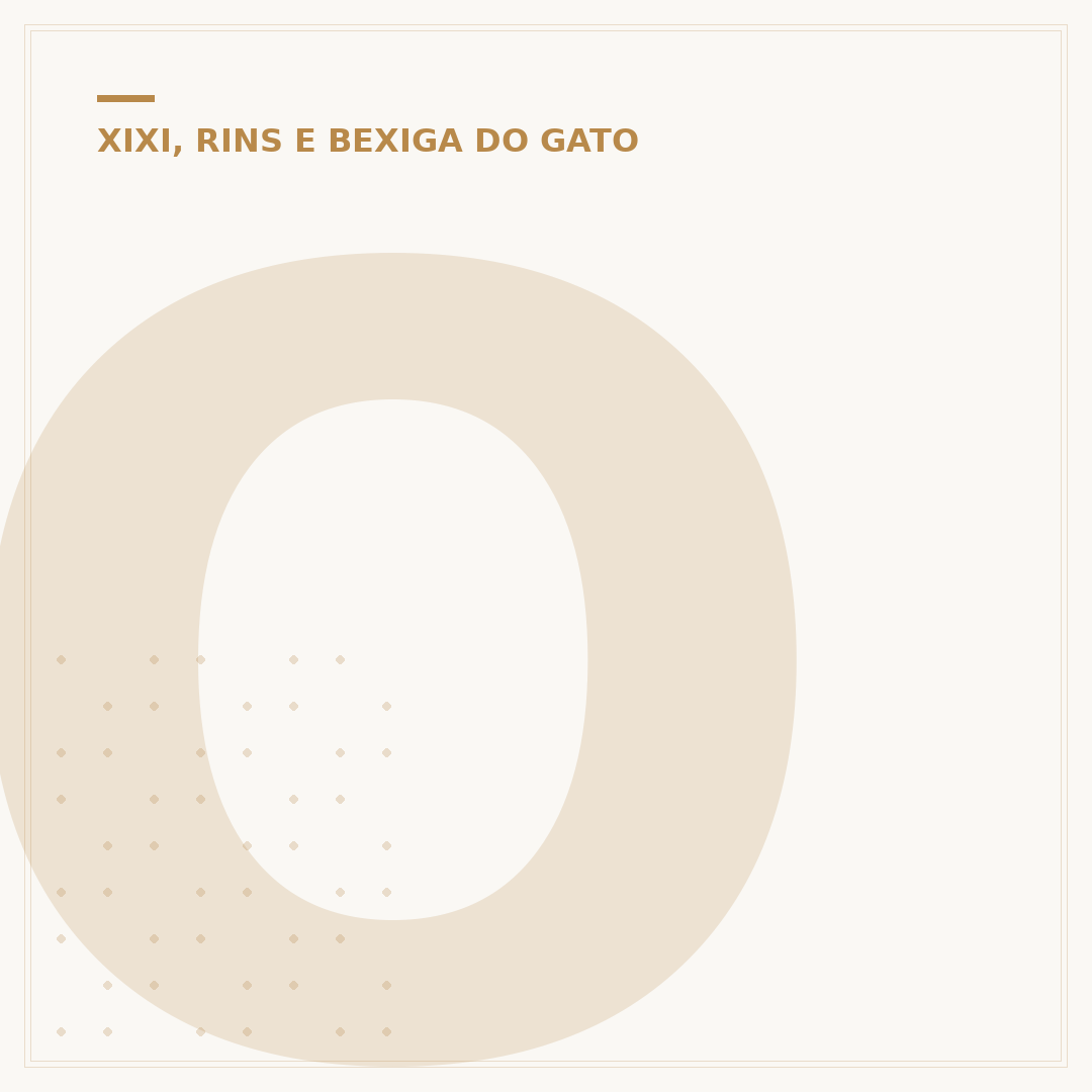 Ômega 3 para gatos com doença renal