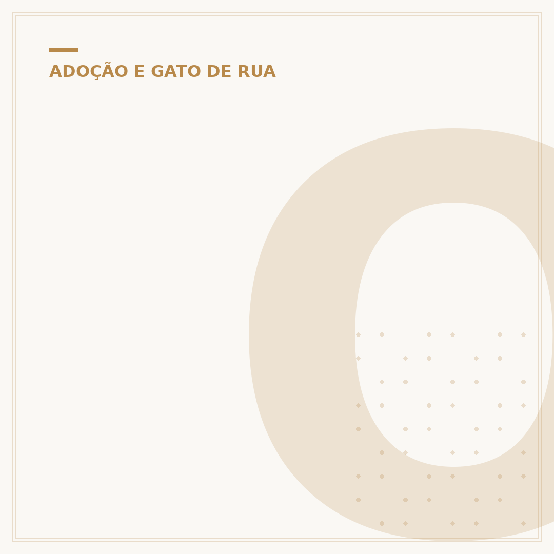 Onde deixar gatos para adoção: alternativas e cuidados
