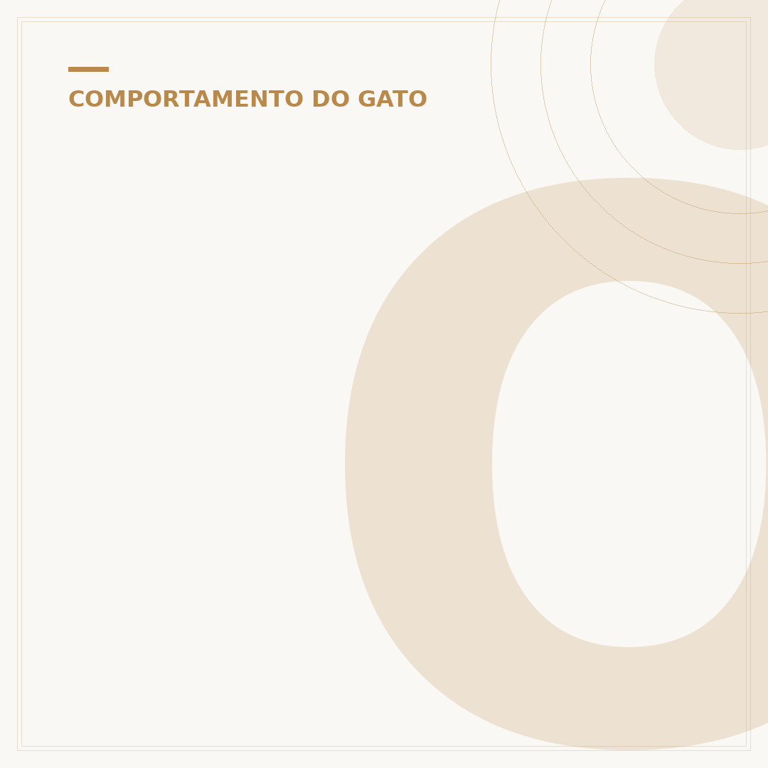 Onde os gatos gostam de carinho: guias e segredos