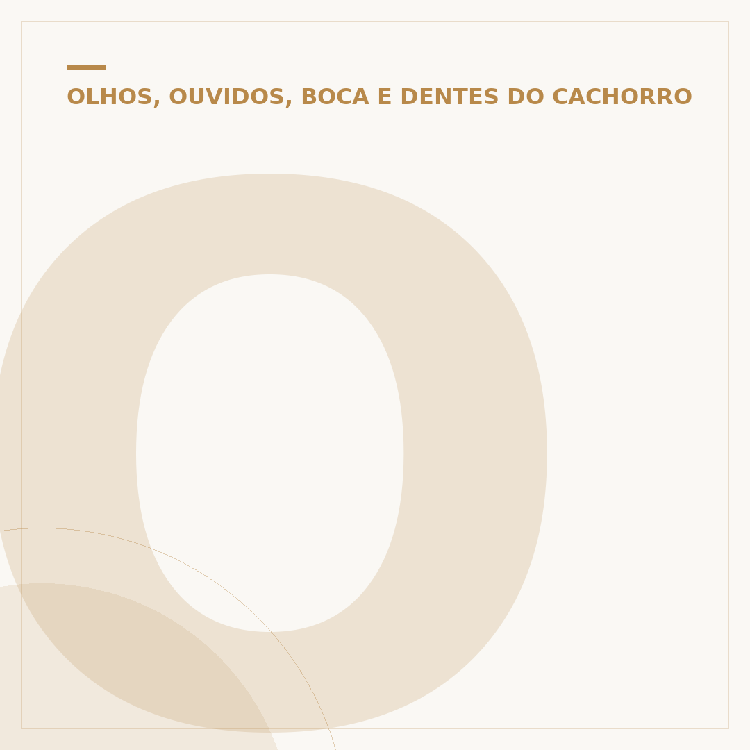 Orelha de porco desidratada para cachorro