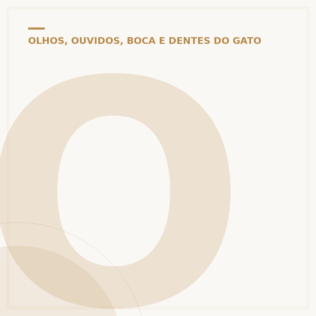 Orelha de gato com otite: causas, sintomas e tratamento