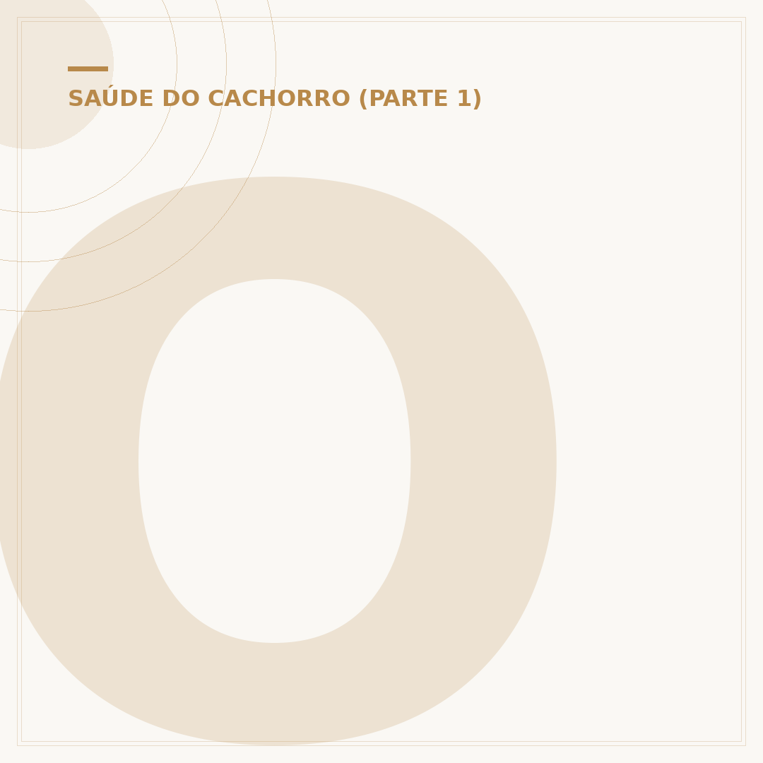 Otohematoma em cães: causas, sintomas e tratamento