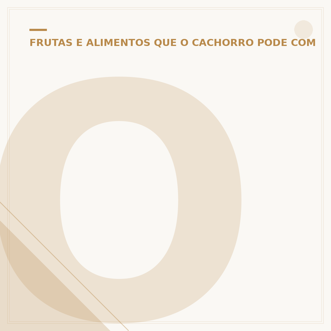 Ovo cru para cachorro: para que serve e benefícios