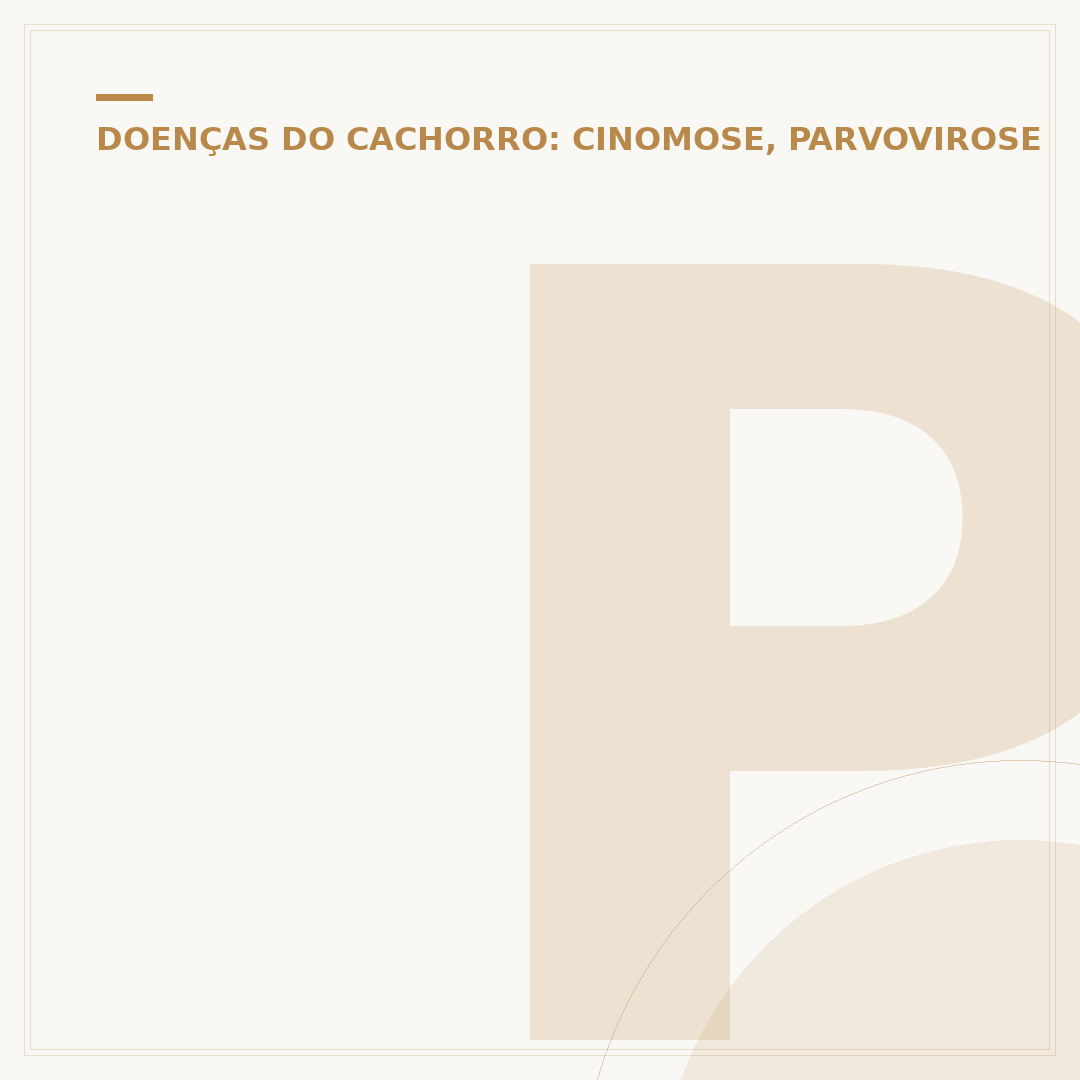 Parvovirose canina: o que é, sintomas, causas e prevenção