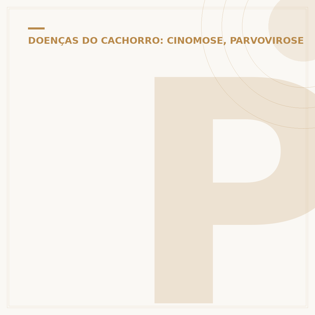 Parvovirose canina: como o cachorro pega a doença