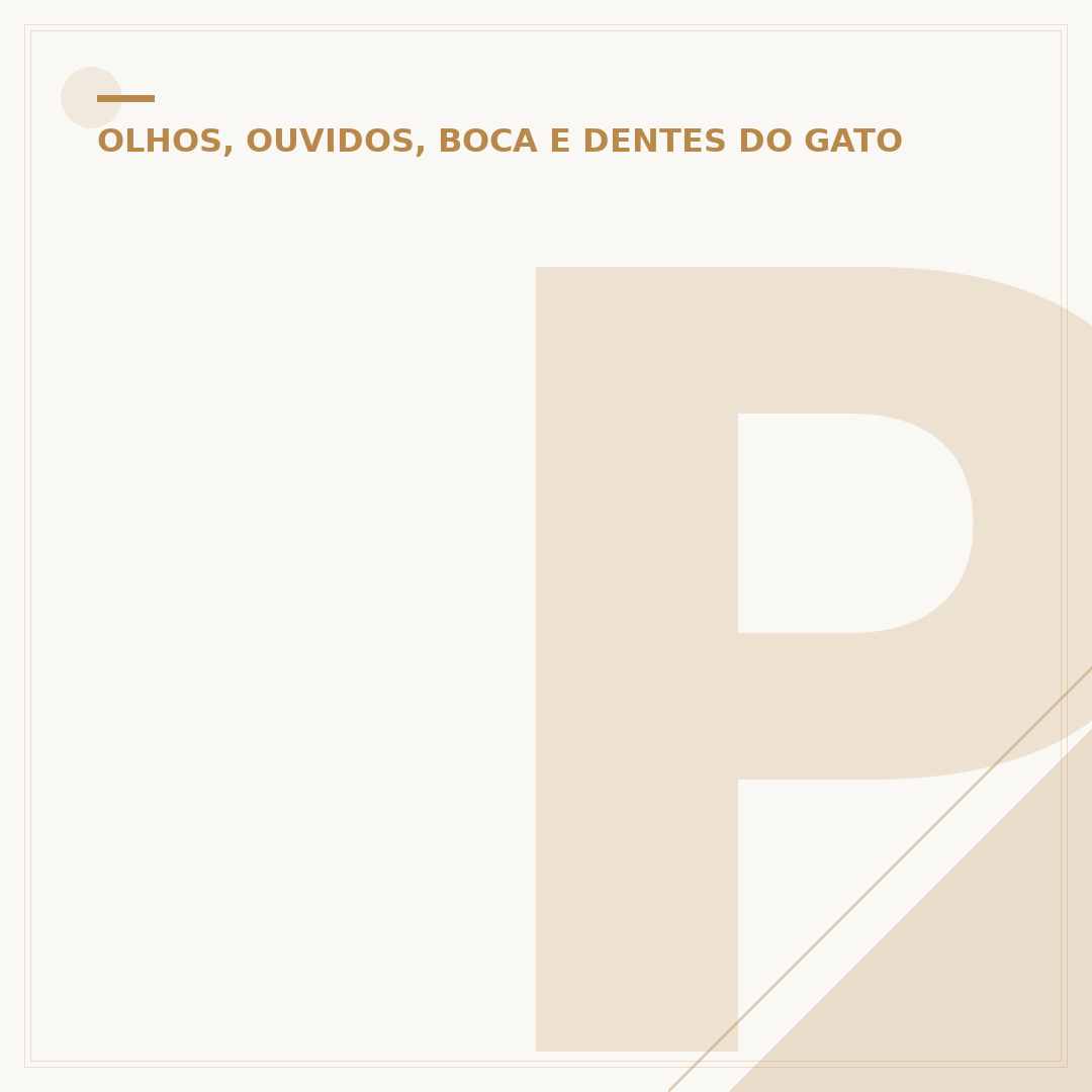 Pasta de dente para gato: saúde bucal felina