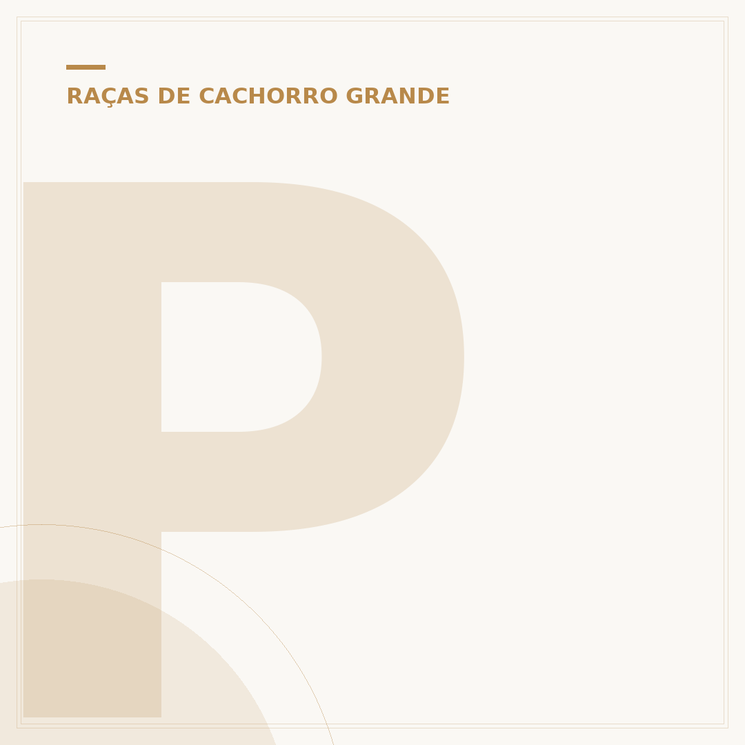 Pastor Belga: Raças e temperamento