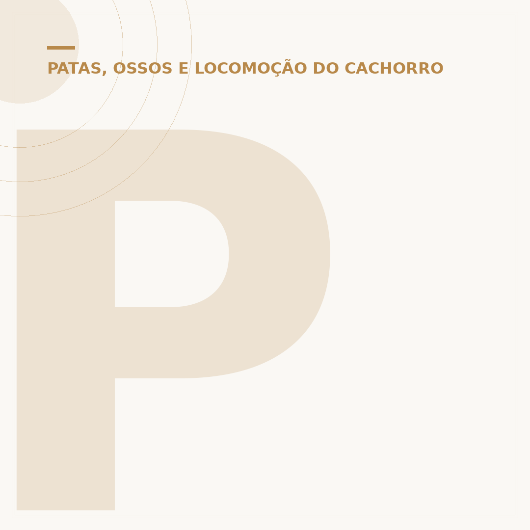 Pata do cachorro vermelha