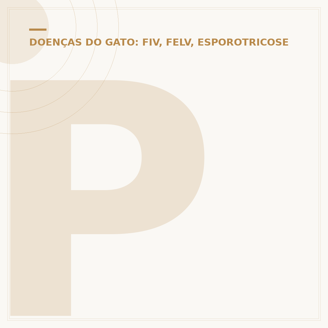 PCR para FeLV em gatos: o que é e como funciona