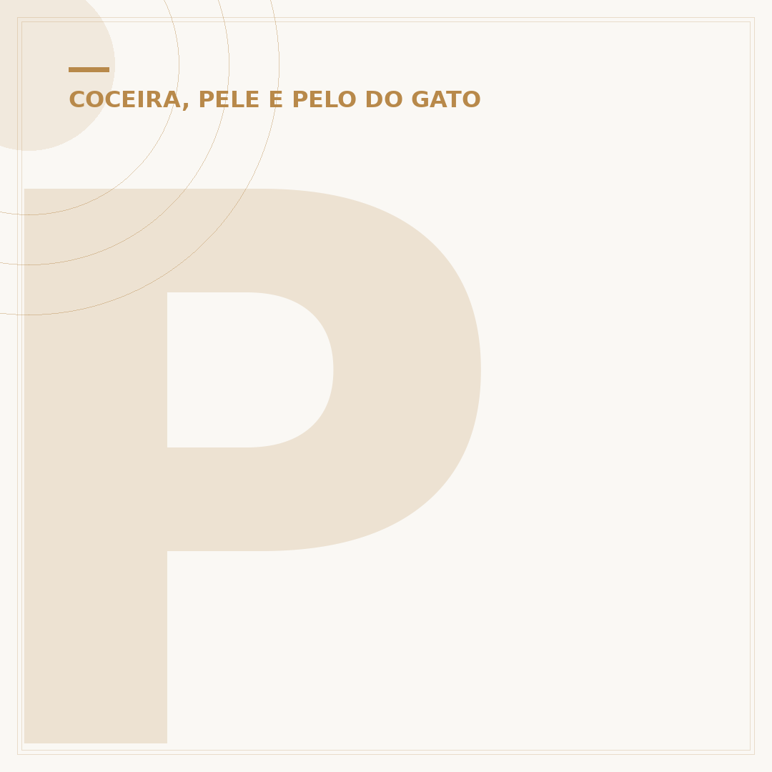 Pele no olho do gato: causas, sintomas e cuidados
