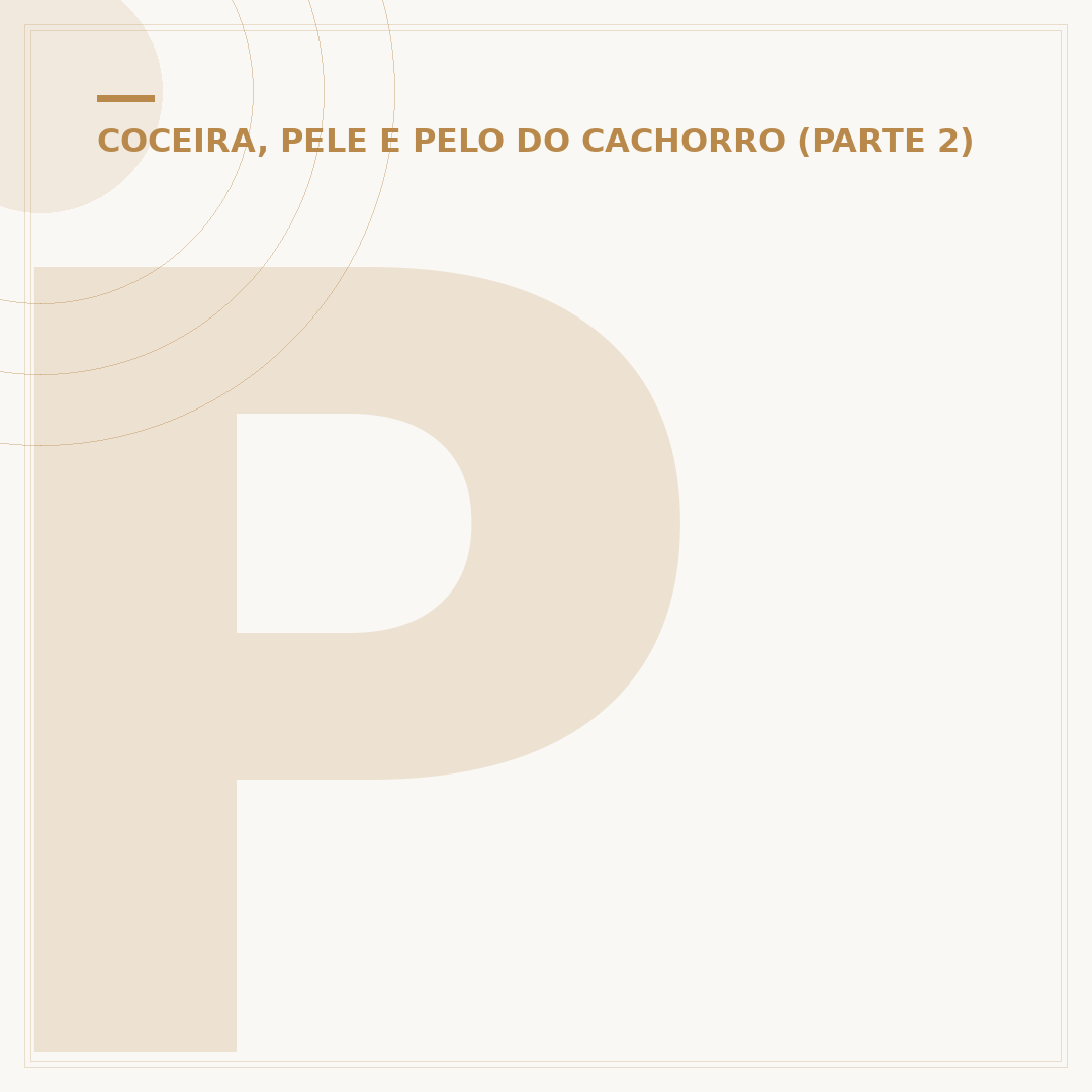 Pelo encravado em cachorro: causas, tratamentos e prevenção