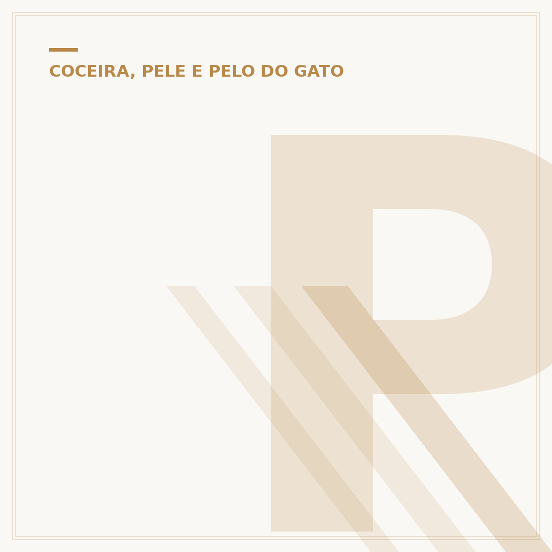 Pelo de gato no olho pode cegar?