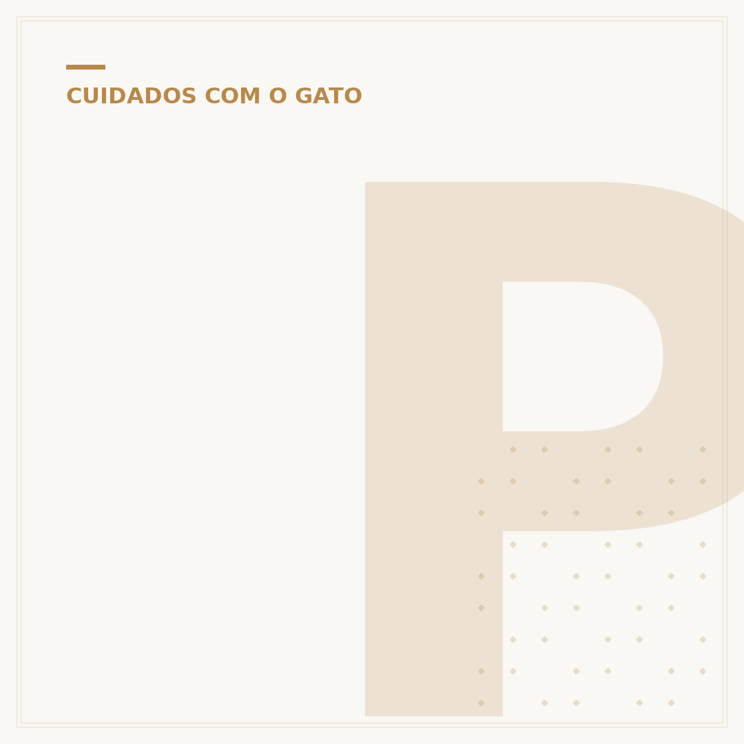 Peso ideal para gatos
