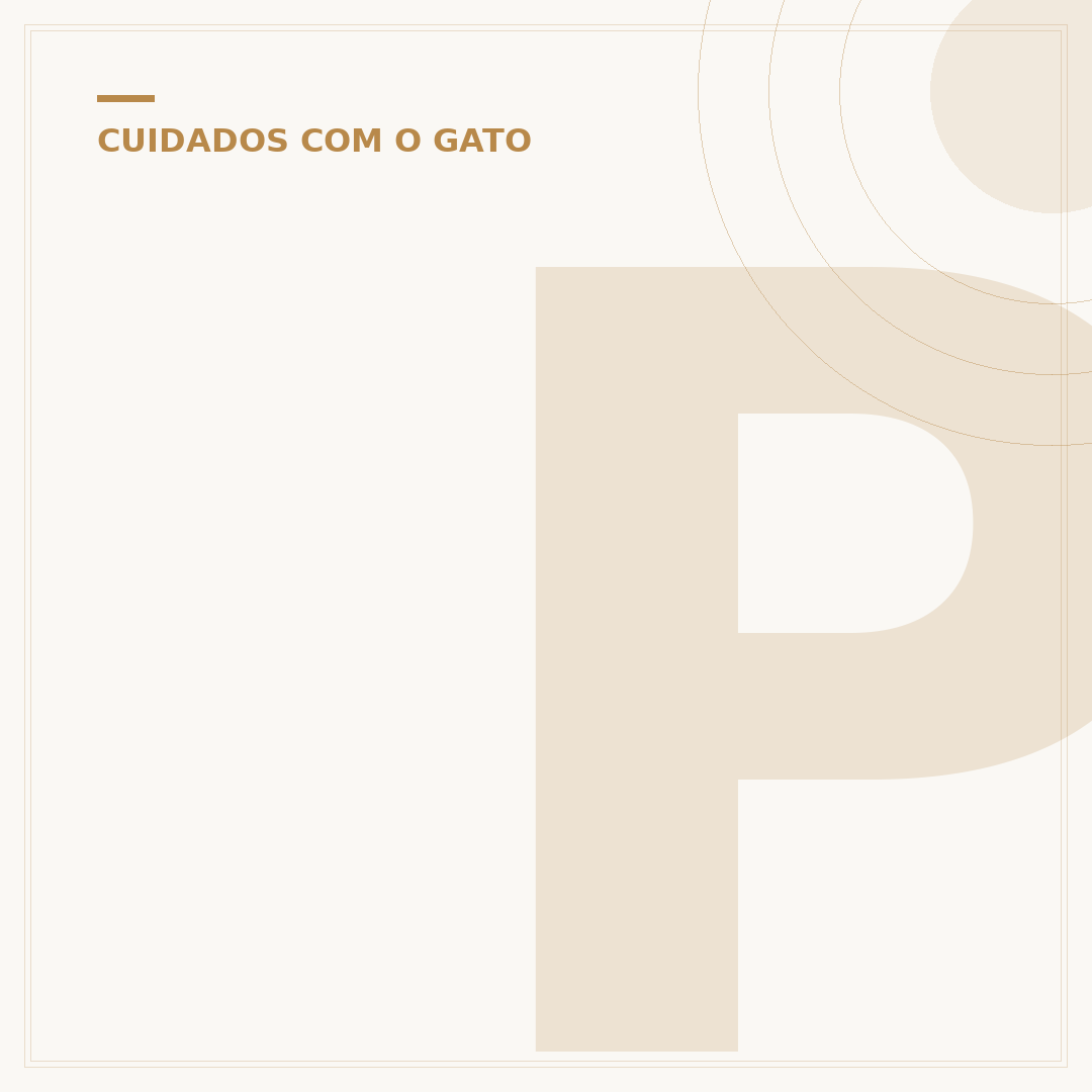 Peso médio de um gato: saiba o que é normal