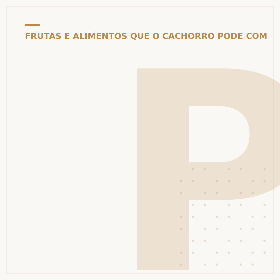 Petisco bifinho para cachorro