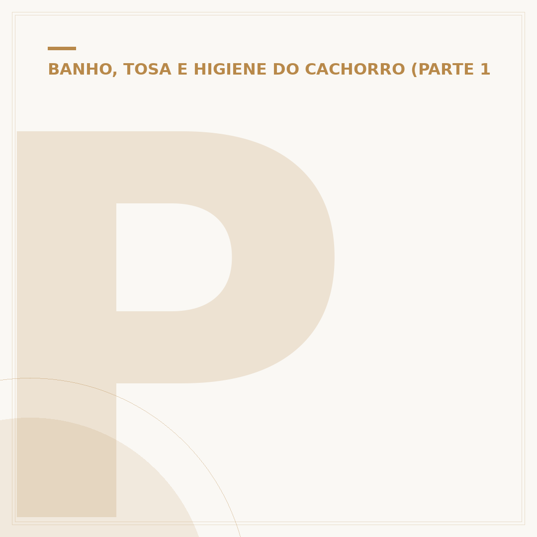 Petz banho e tosa: o que você precisa saber