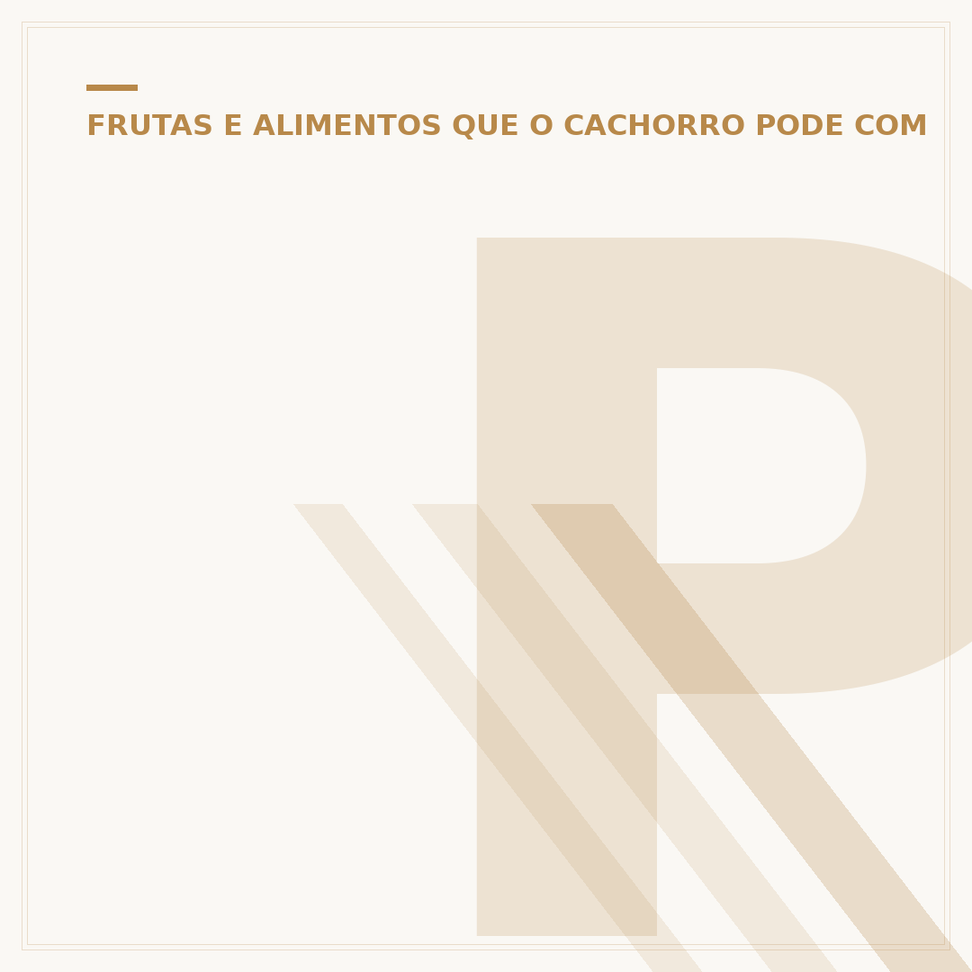 Petz aceita vale alimentação? O que você precisa saber