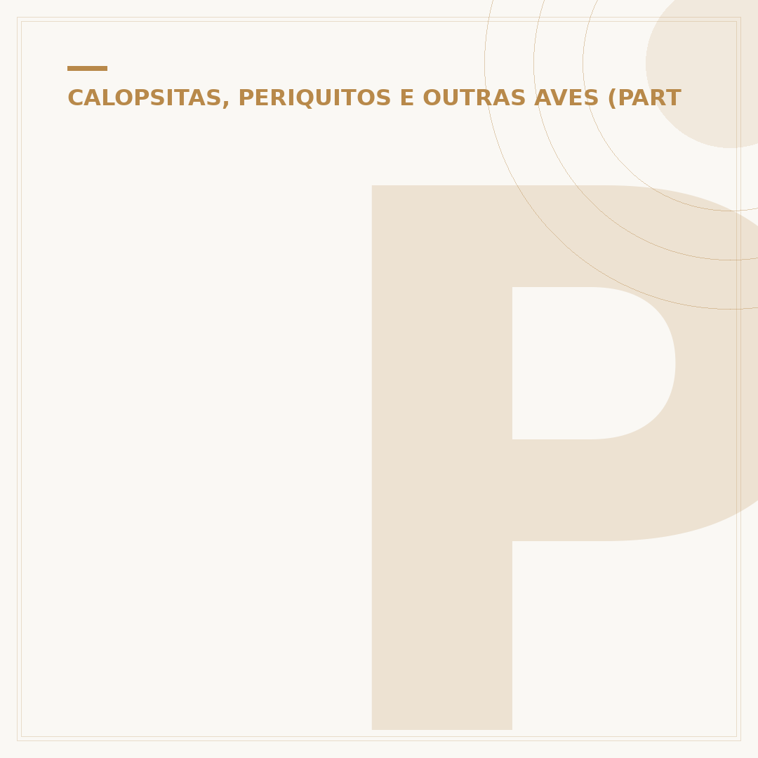 Piada de calopsita: os memes e histórias mais engraçadas