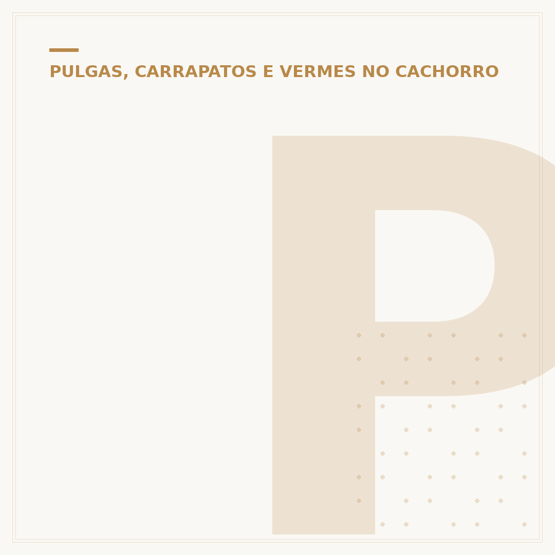 Picada de carrapato em cachorro: o que fazer e prevenir