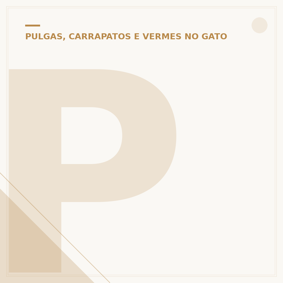 Picada de pulga de gato em humanos: sintomas e cuidados