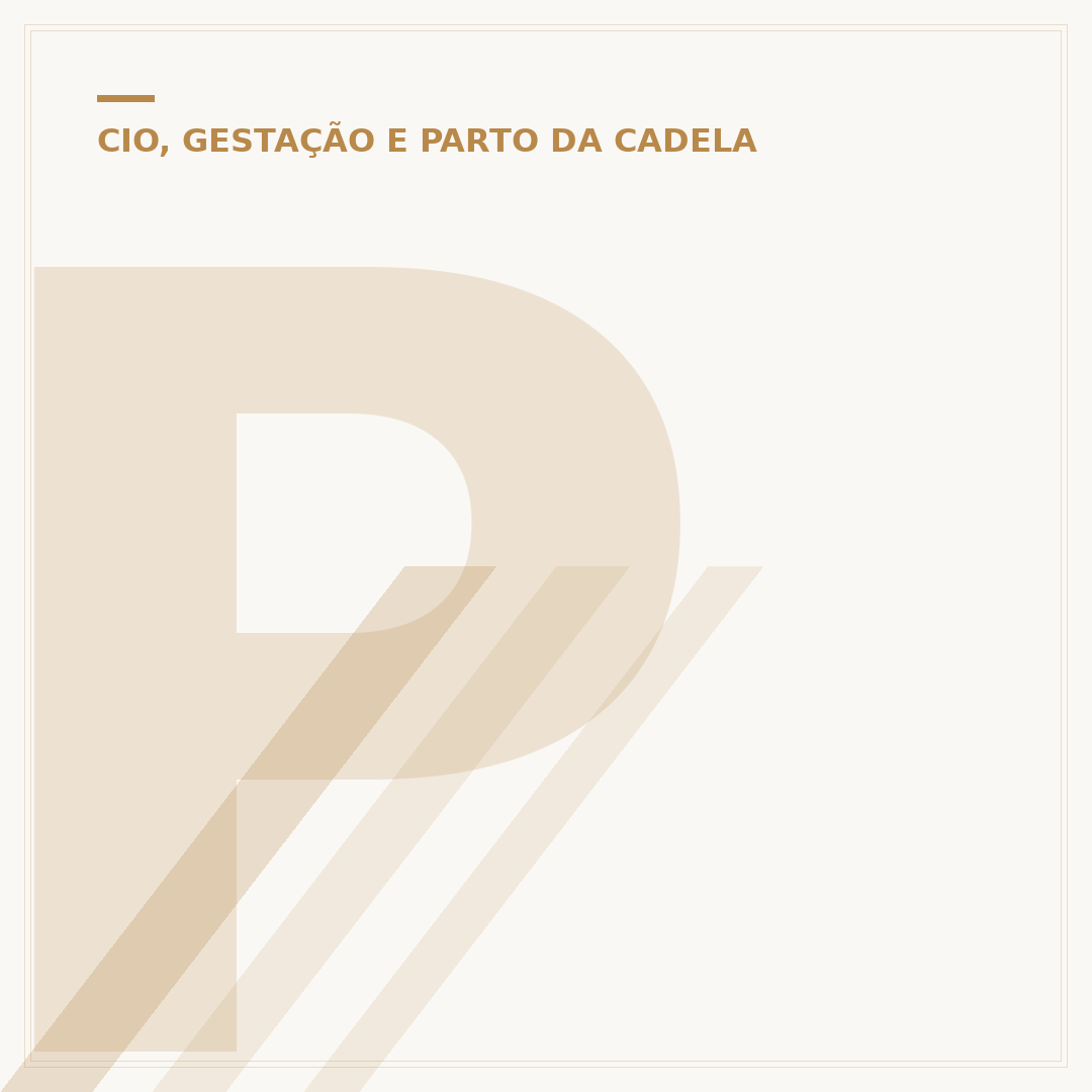 Pinscher grávida de 1 mês: o que esperar?