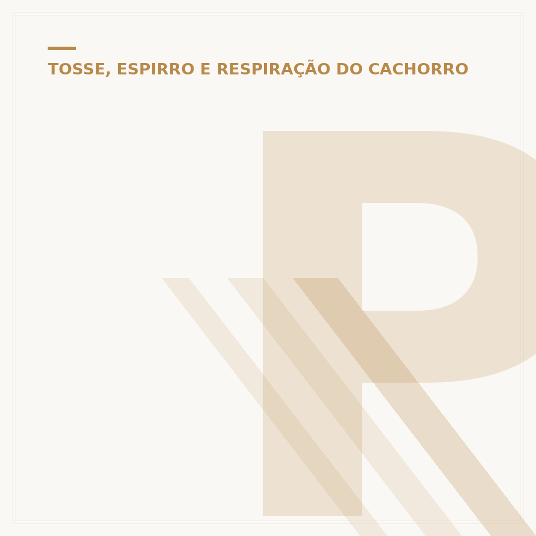 Pneumonia canina é contagiosa? Entenda a transmissão