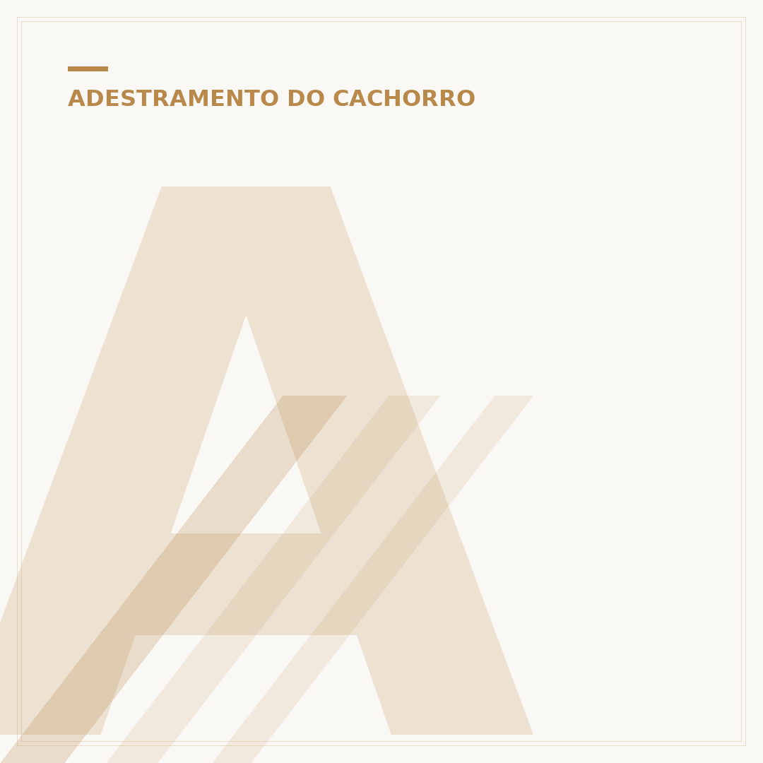 Adestramento de dogs em Poa