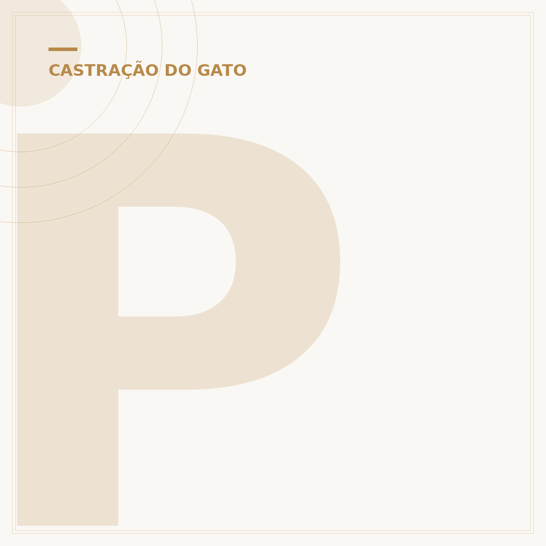 Pode castrar gata prenha?