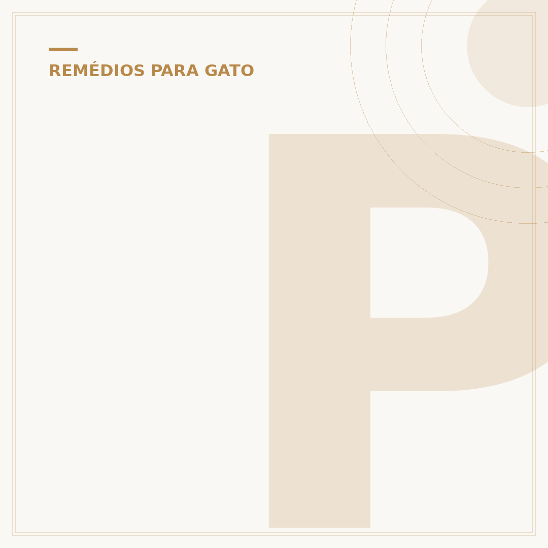 Pode dar dramin para gato? Entenda os riscos e alternativas