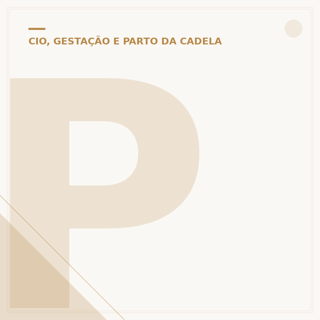 Pomada mama cadela: para que serve e como usar