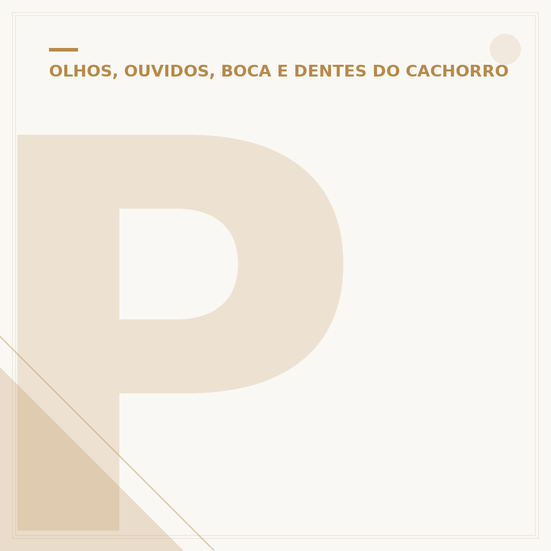 Pomada para olho de cachorro: quando usar e cuidados
