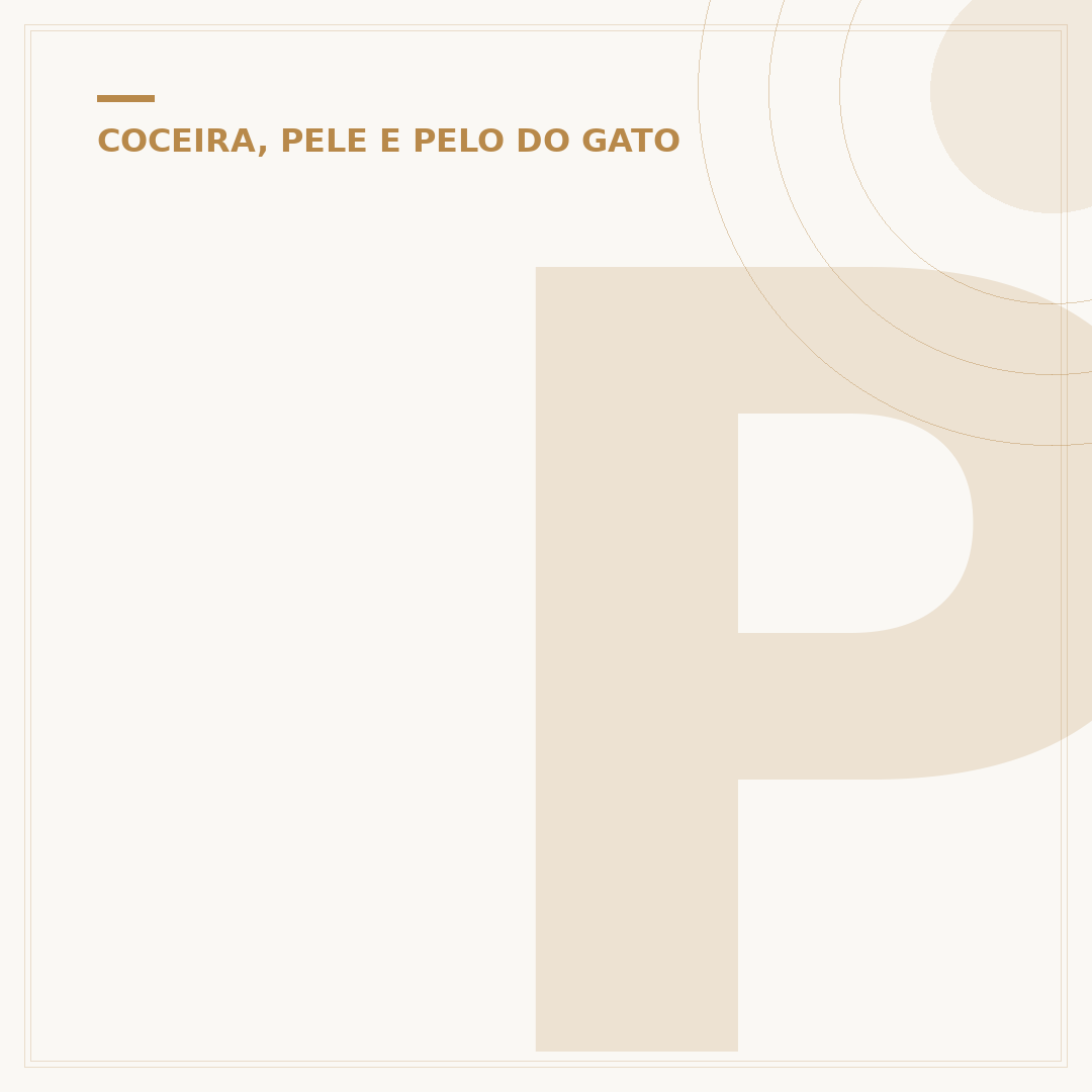 Pontinhos brancos no pelo do gato: causas e o que fazer