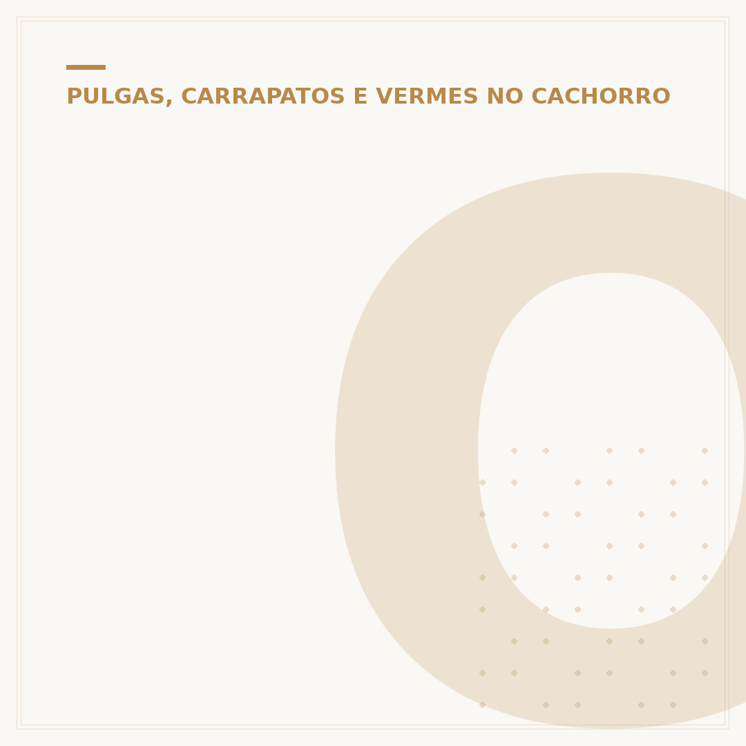 Ovos de pulga em cachorro: o que são os pontinhos pretos?