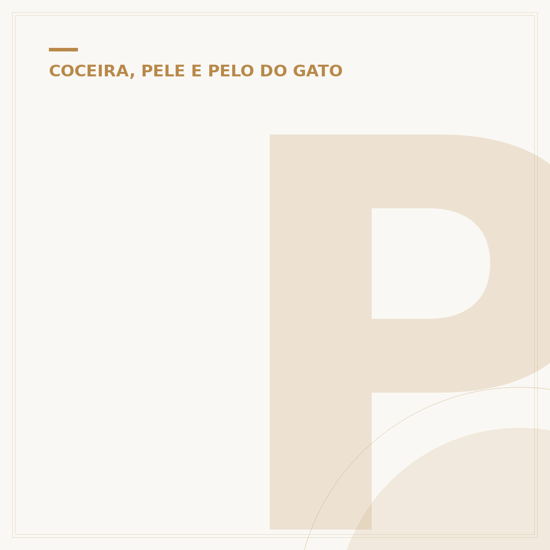 Pontinhos pretos no pelo do gato: o que são e como agir