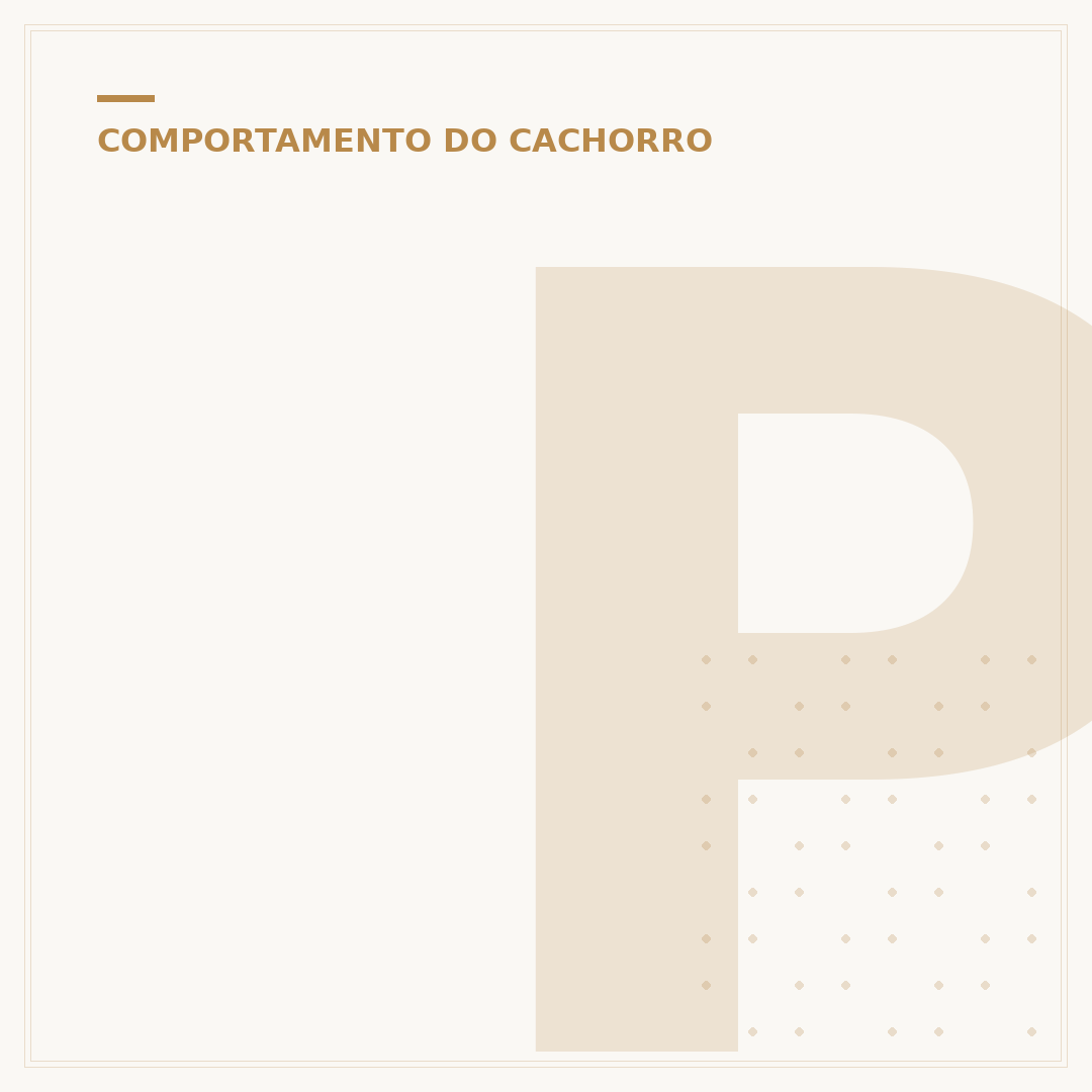 Por que meu cachorro me lambe tanto? Entenda os motivos