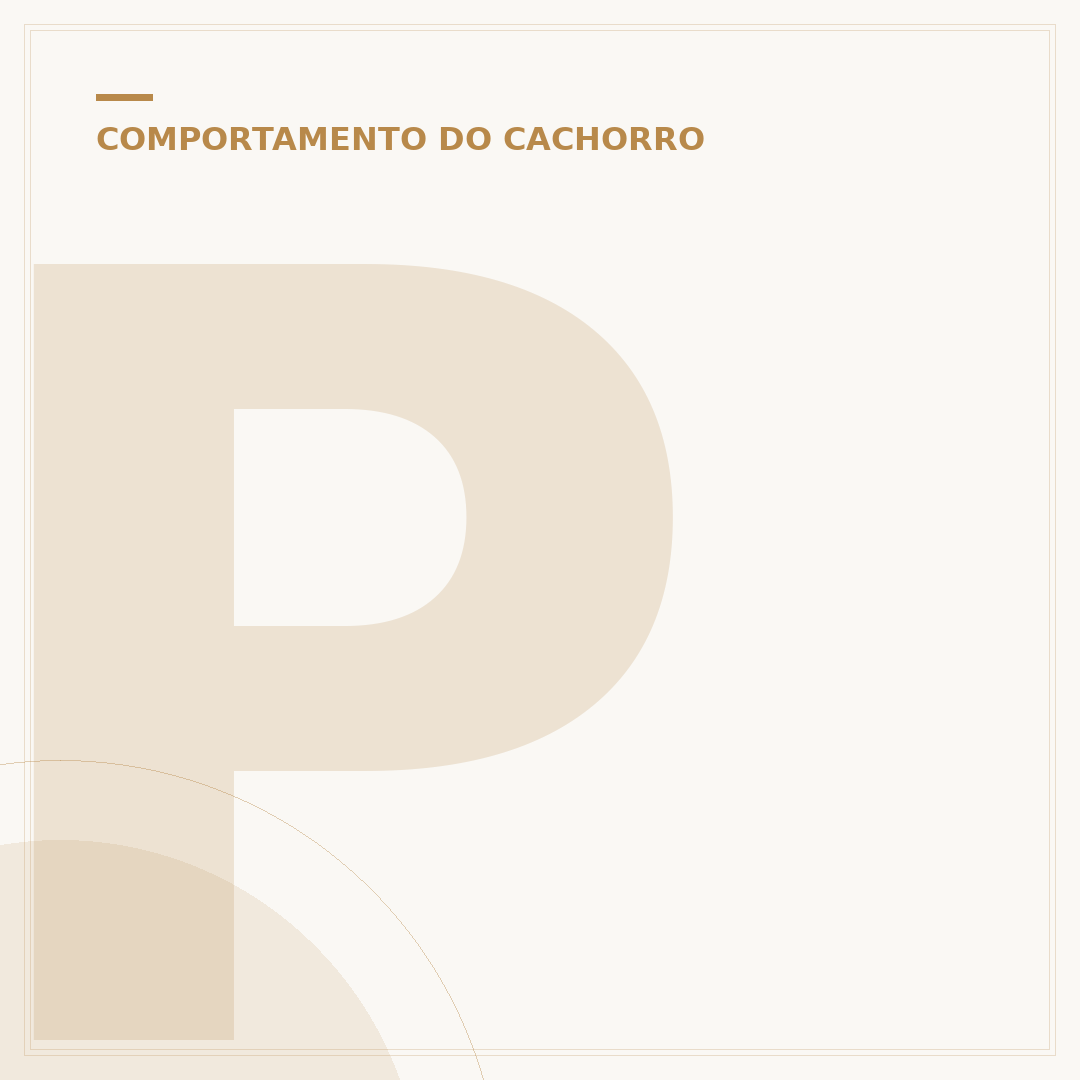 Por que cachorros têm medo de fogos? Entenda a ciência