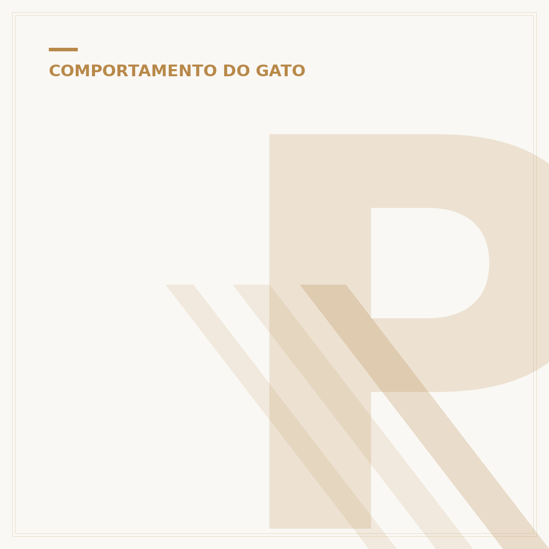 Por que o gato ronrona: entenda o som e o que ele diz