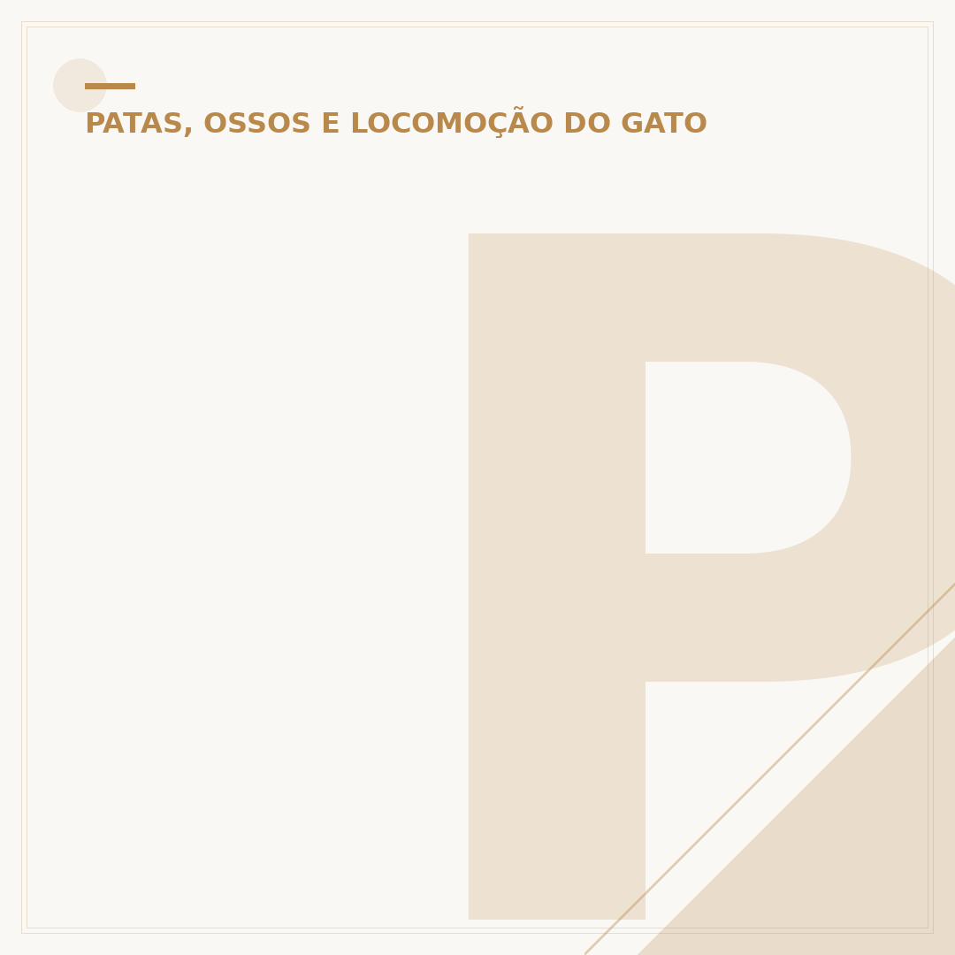 Por que os gatos ficam se esfregando nas pernas das pessoas?