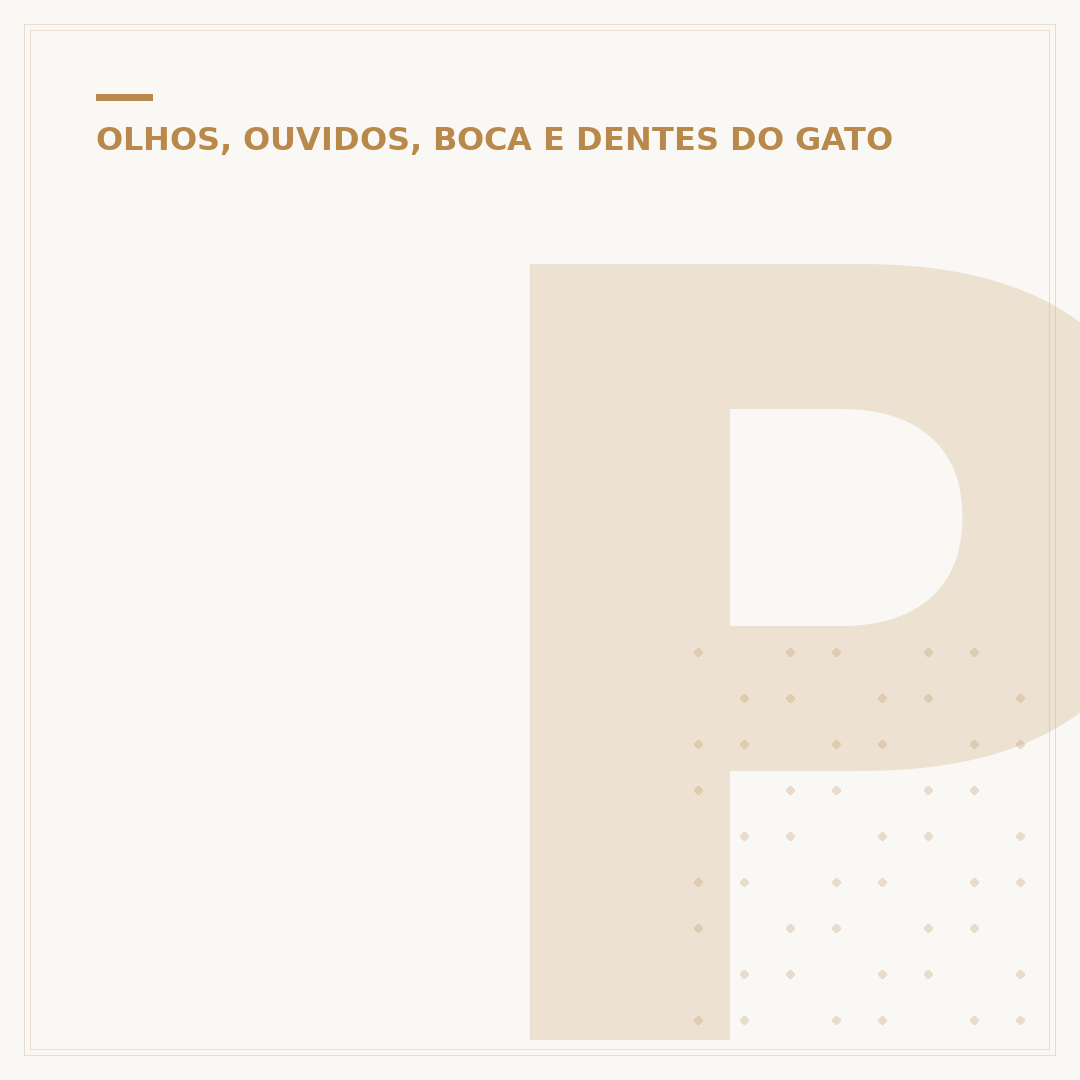 Porque o olho do gato muda: entenda as pupilas felinas
