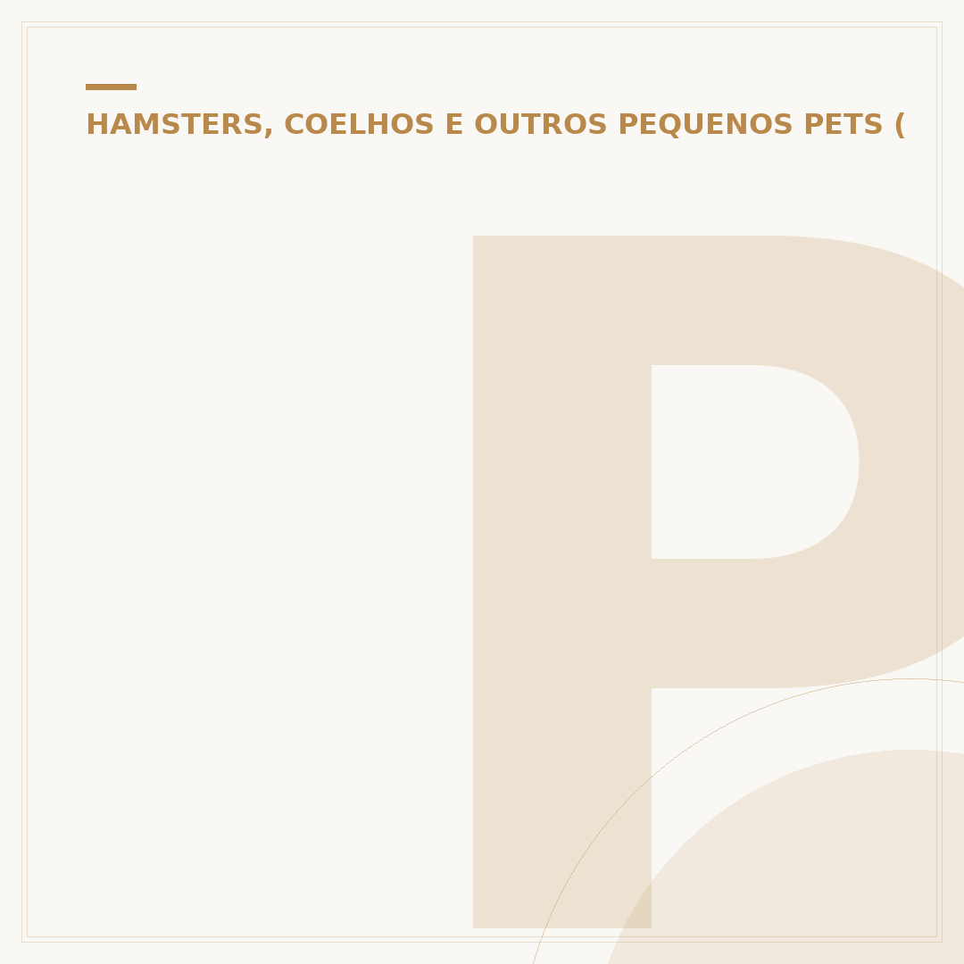 Porquinho da índia transmite doença? Riscos e cuidados