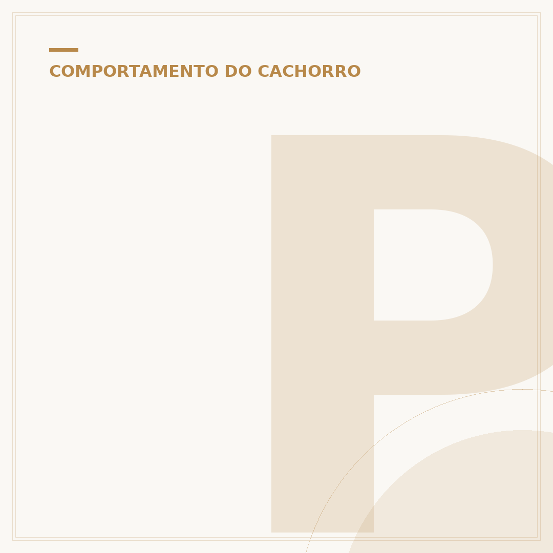 Posições do cachorro dormir: entenda os significados