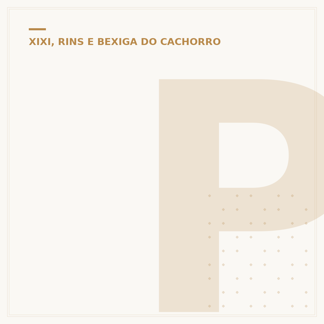 Produto para cachorro não fazer xixi no lugar errado