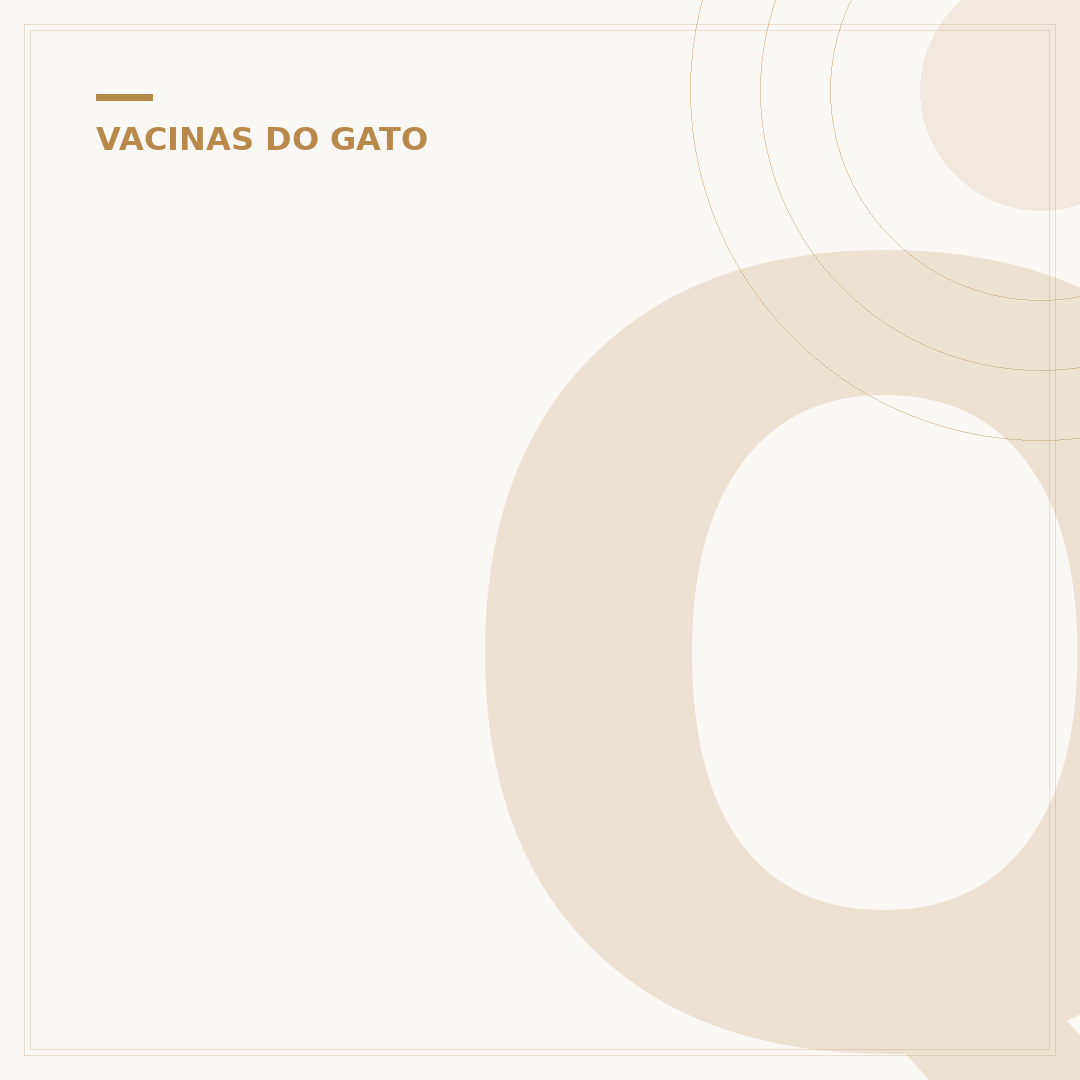 Quais vacinas o gato deve tomar?