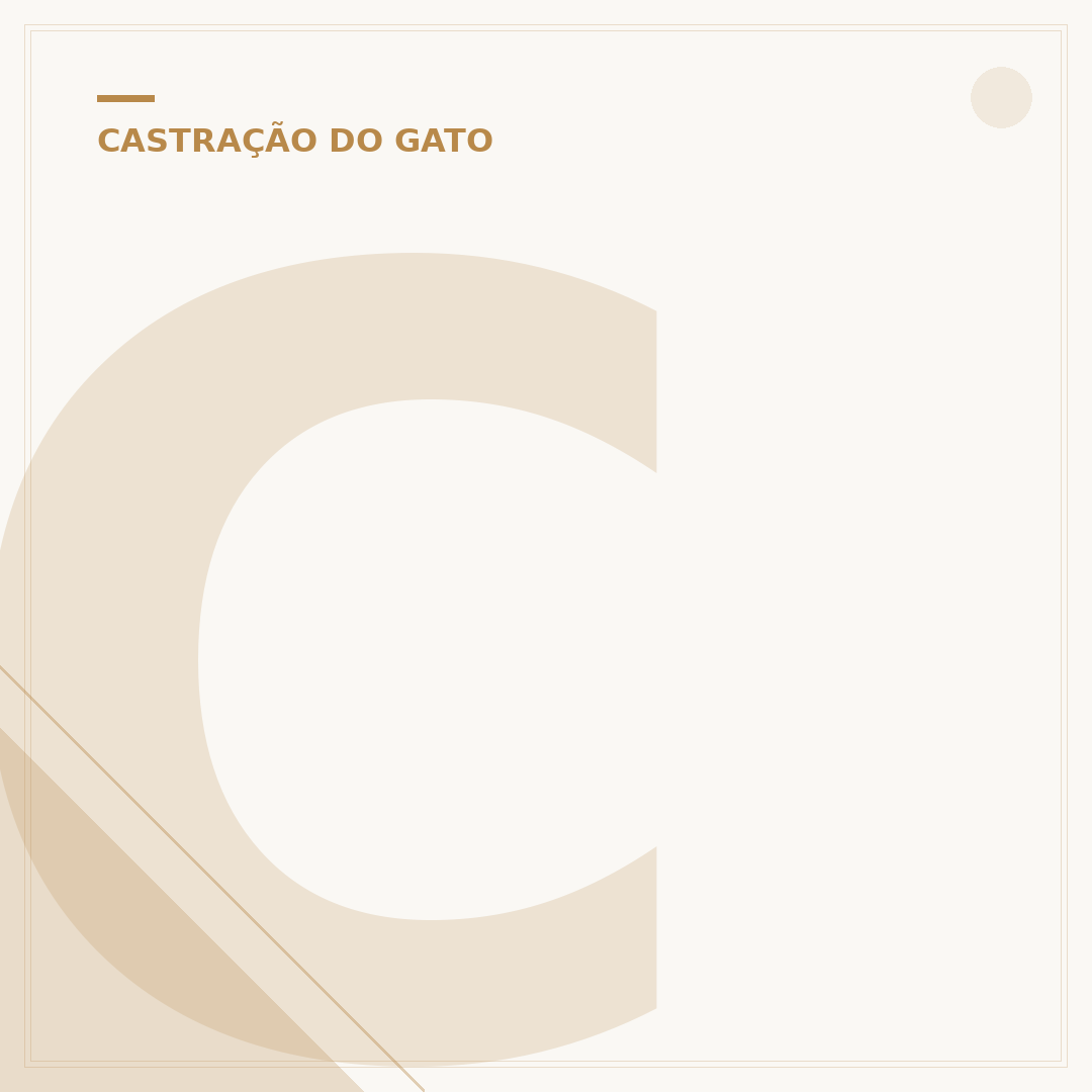Com quantos meses pode castrar gato macho?