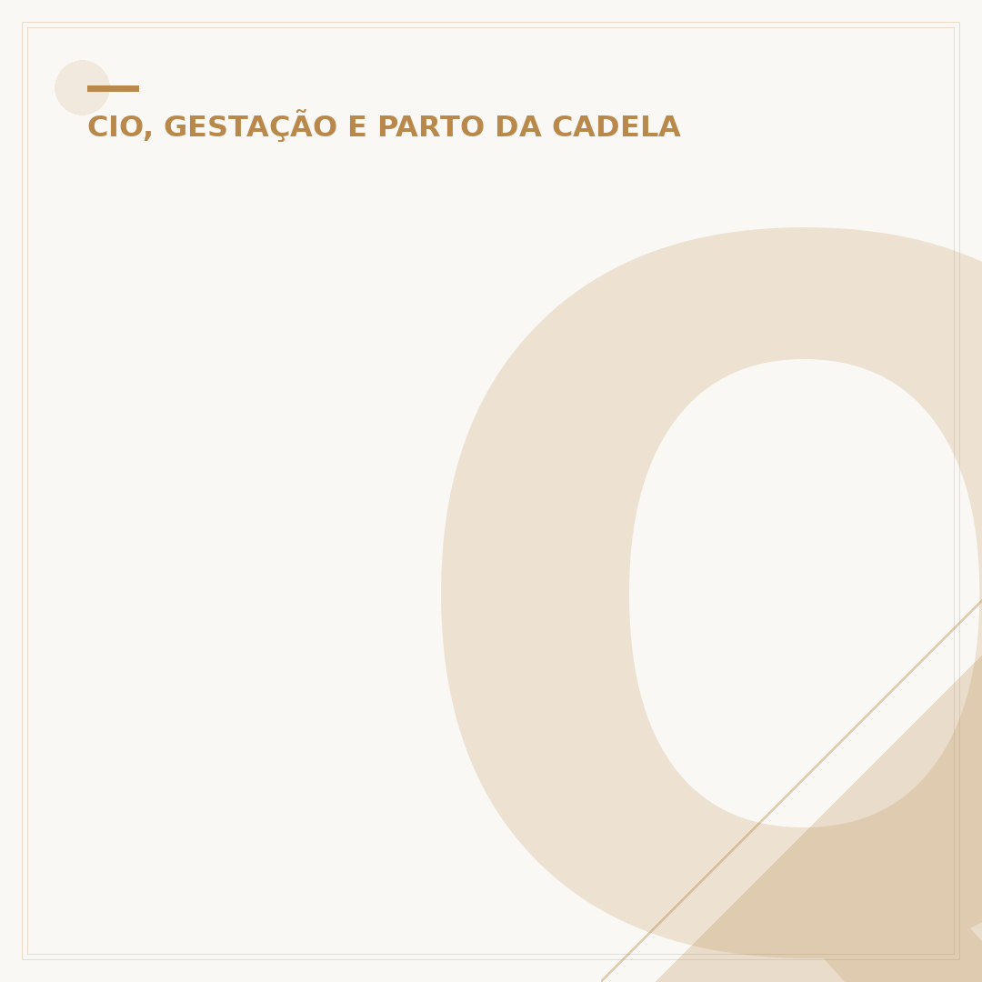 Quantas tetas tem um cachorro?